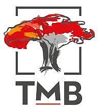 TMB  BANK