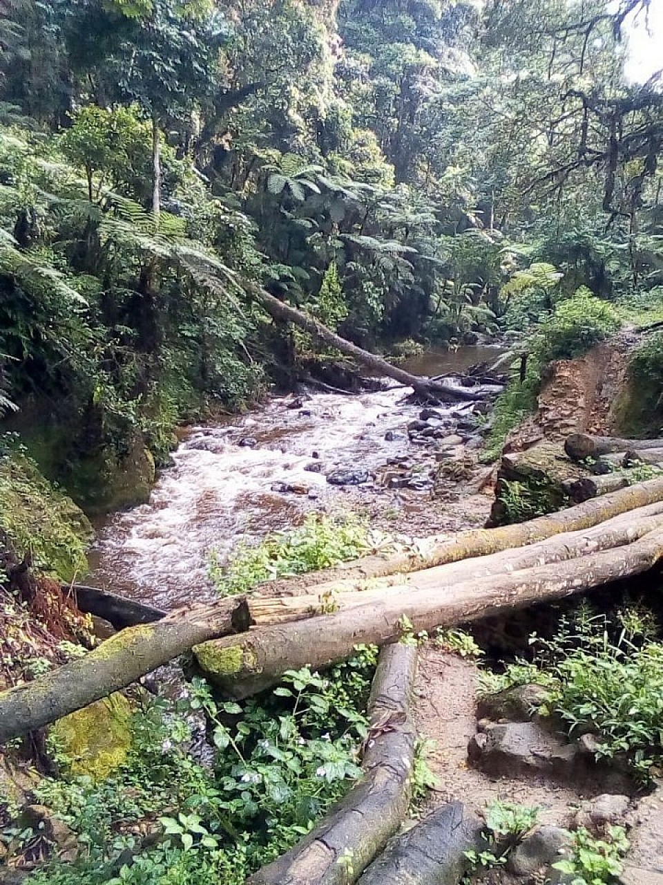 Nous sensibilisons la communauté sur la protection des écosystèmes de la réserve d'Itombwe